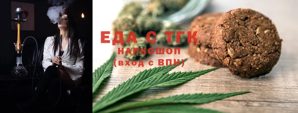 хмурый Алексин