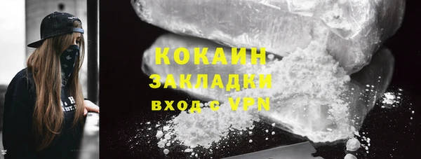 хмурый Алексин