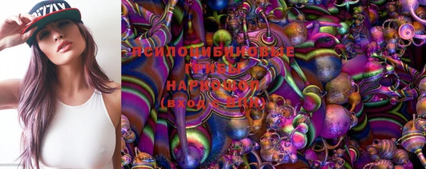ECSTASY Алзамай