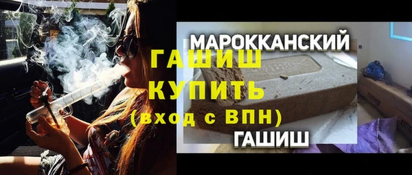 хмурый Алексин