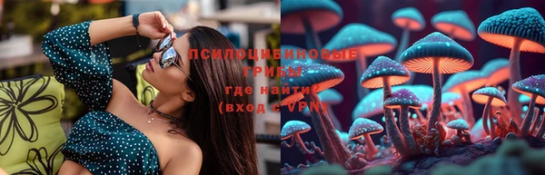 ECSTASY Алзамай