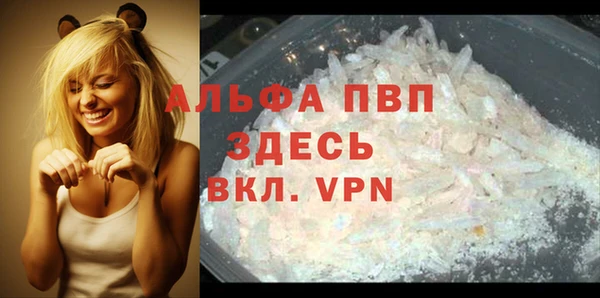 гашик Дмитров