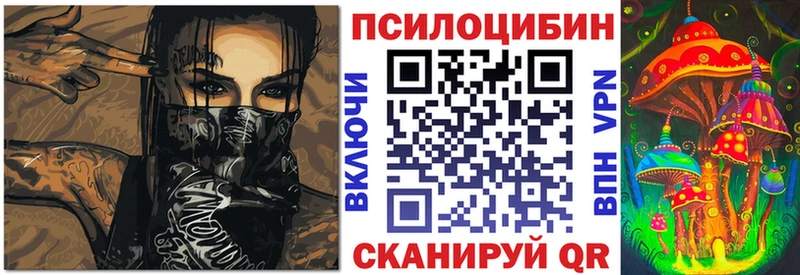 Псилоцибиновые грибы Psilocybine cubensis  закладки  Уфа 