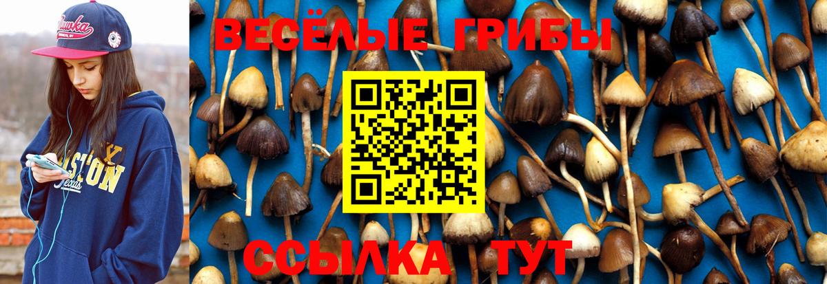 Уфа  сколько стоит  Вход с VPN  Галлюциногенные грибы GOLDEN TEACHER  Псилоцибиновые грибы прущие грибы 